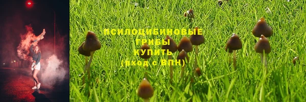 крисы Арсеньев