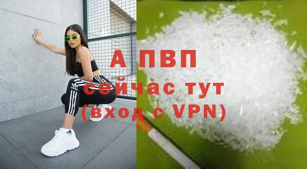 крисы Арсеньев