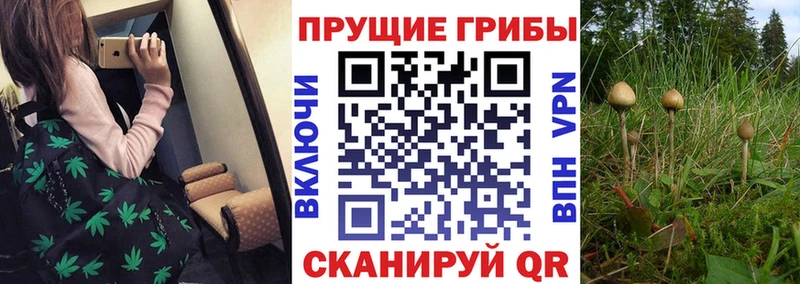 Псилоцибиновые грибы ЛСД  OMG зеркало  Лениногорск  купить  